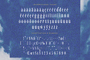 Awesome Shorten Tall Serif Display, a Serif Font by timelesstype.co (Thumbnail 18 of 20)