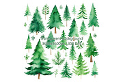 42PNG CHRISTMAS & PINE TREE CLIPART, a Seasonal Illustration by Vachira Digital Studio (Thumbnail 2 of 3)