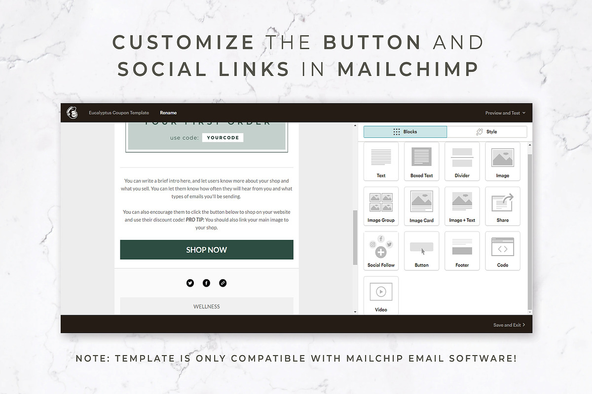 Canva & Mailchimp Email Template, an Email Template by Thirty One Palms Studio (Photo 4 of 7)