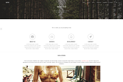 Mini  | Multi-Purpose Theme, a WordPress Template by premiumwd (Thumbnail 5 of 9)