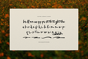 Softmark | Casual Handwritten Font, a Script Font by gracetype_studio (Thumbnail 11 of 12)