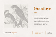 The Versatile Font Bundle, a Sans Serif Font by AlienValley (Thumbnail 135 of 141)