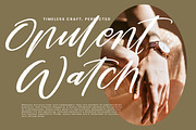 Romantic Mastery Modern Brush Script, a Script Font by stylishtype.co (Thumbnail 16 of 20)