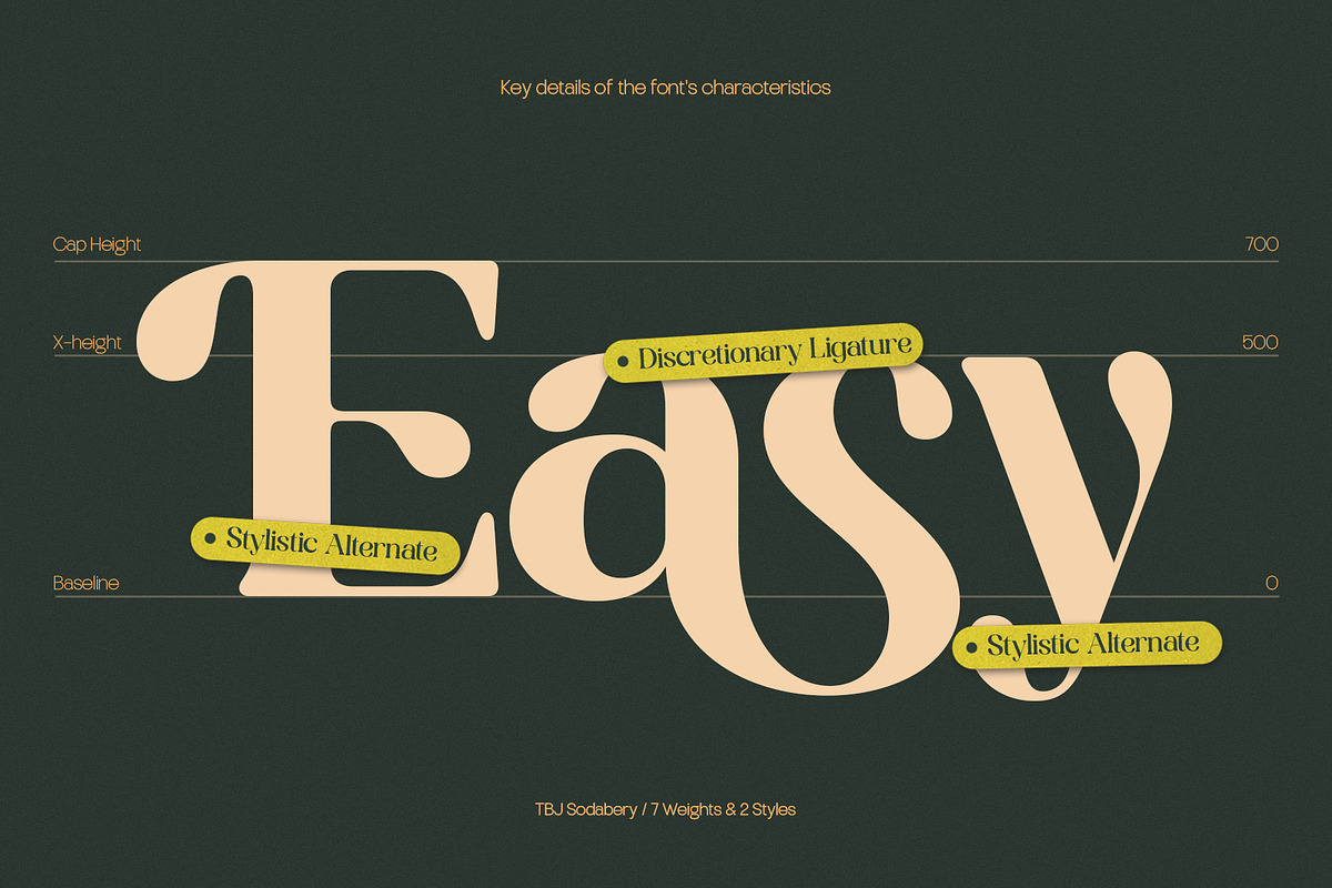 TBJ Sodabery Serif Retro Family, a Serif Font by Taboja Studio (Photo 9 of 21)