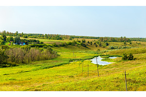 Meadow in bolshoe gorodkovo kursk region russia containing russia, meadow, a Nature Photo by Leonid Andronov