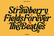 TAN-SUNSET, a Serif Font by TanType (Thumbnail 2 of 11)