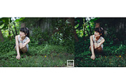 Kamin Film Feeling Roll 1, an Action Add-On by Kamin Lightroom Preset (Thumbnail 4 of 22)