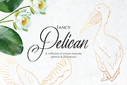 Fancy Pelican Collection, a Texture Illustration by DesignsByMissM (Thumbnail 1 of 4)