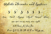 Tansy, a Script Font by Eurotypo (Thumbnail 4 of 5)