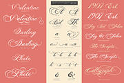 Photograph - Script Wedding Font, a Script Font by FHFont (Thumbnail 3 of 10)