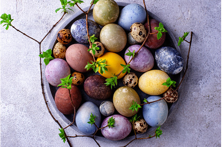 Easter eggs paint with natural dye, a Holiday Photo by Yulia Furman
