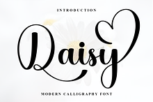 Daisy