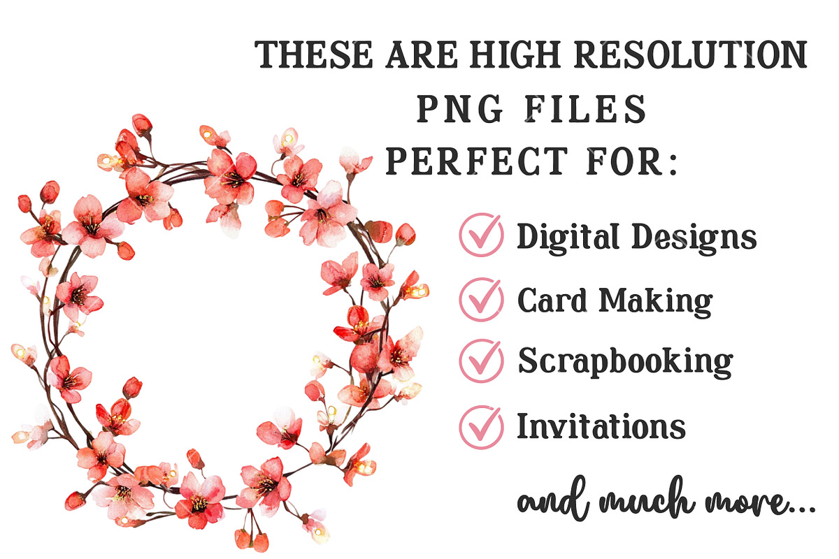 Spring Cherry Blossom Clipart, an Illustration by OK Design (Photo 3 of 6)