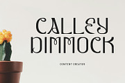 Lynoile Sans Serif Display Font, a Font by Maulana Creative (Thumbnail 5 of 7)