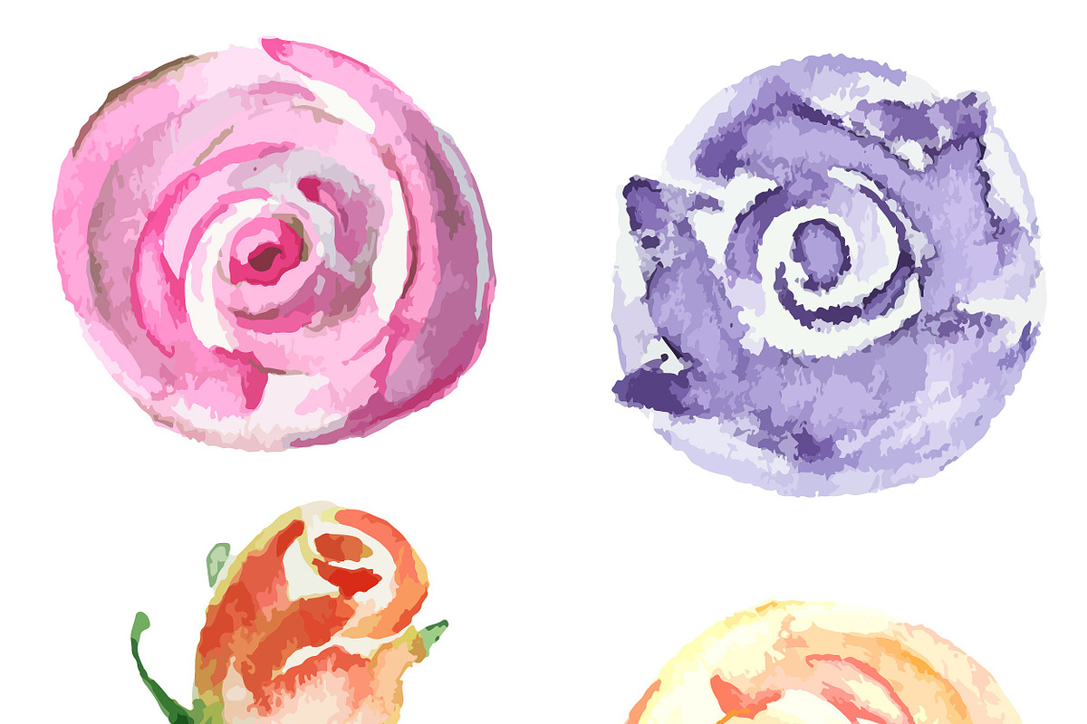 Bundle offer of watercolors, an Animal Illustration by Watercolor_Vector Graphic (Photo 27 of 27)