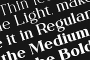 Fogie - Serif Family, a Serif Font by din-studio.com (Thumbnail 9 of 21)