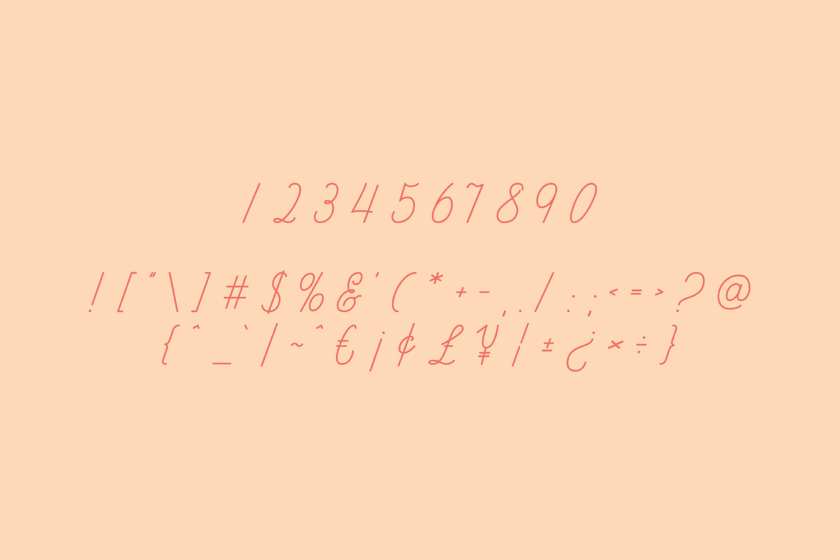 Fribois Monoline Script, a Script Font by Bart Wesolek (Photo 3 of 7)