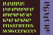 Olivas, a Serif Font by Khoir (Thumbnail 10 of 13)
