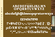Angelic Pearl Retro Serif Font, a Serif Font by Letterena Studios (Thumbnail 13 of 15)