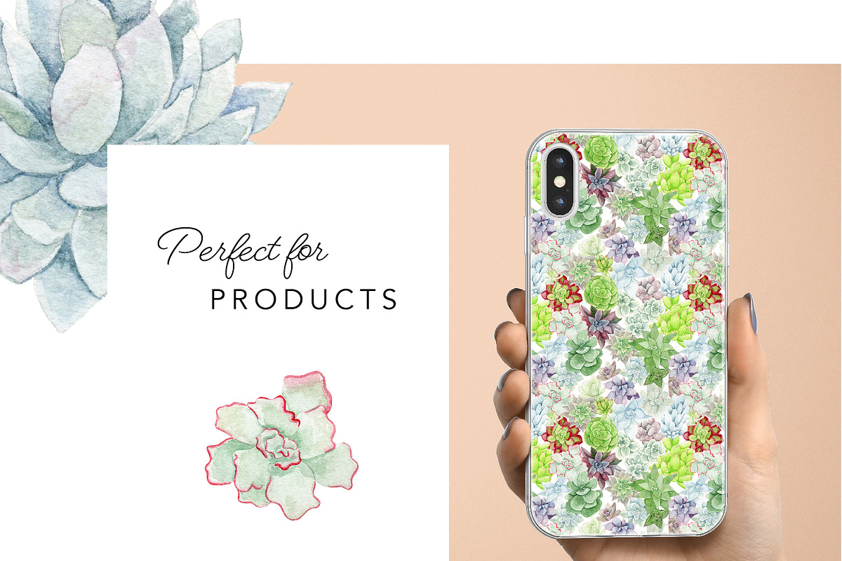 Watercolor Succulent Illustrations, an Illustration by One and Only Paper (Photo 5 of 6)