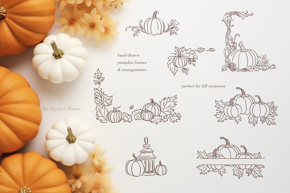 Pumpkin Line Art & Frames, a Decorative Illustration by Backyard Rose (Photo 7 of 13)