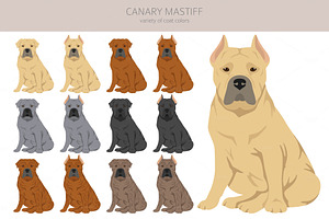 Canary Mastiff Clipart