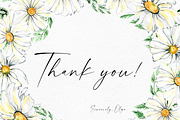 Watercolor Daisies, an Object Illustration by Olga Koelsch (Thumbnail 12 of 12)