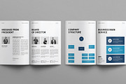 Business Plan Template, a Brochure Template by E-Type (Thumbnail 3 of 7)