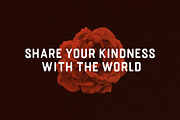 Bringme Display Font, a Font by Solidtype (Thumbnail 2 of 6)