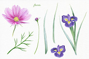Florals watercolor set, an Illustration by Elegantia (Thumbnail 4 of 11)