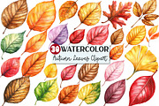 Watercolor Autumn Leaves clipart, an Illustration by Rose Art (Thumbnail 1 of 4)