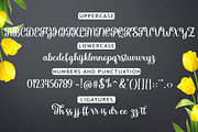 The Yolanda Font Duo, a Script Font by Madjack.font (Thumbnail 9 of 9)