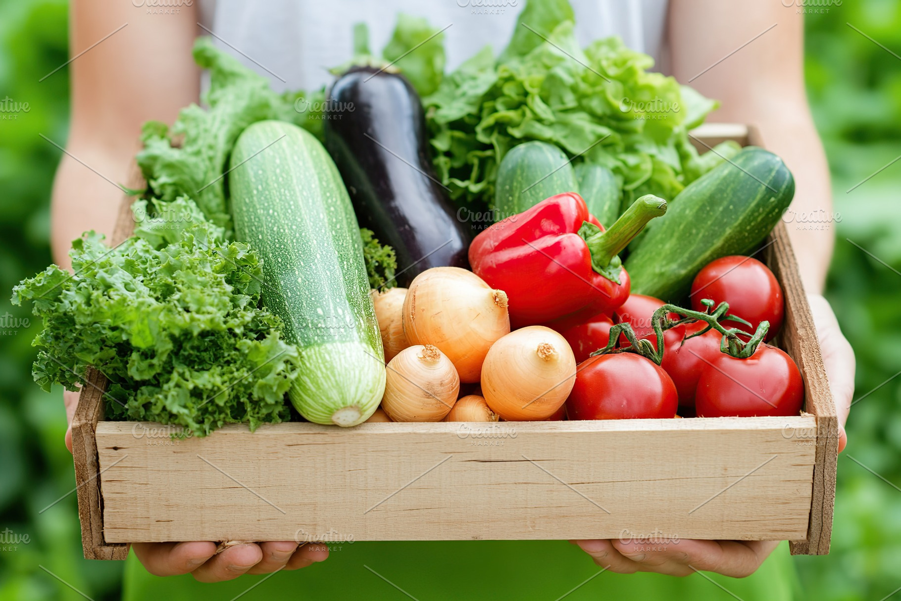 Farmer's hands holding crate full of different ripe vegetables, a Nature Photo by AlyaAnd