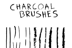 Set Of 38 Charcoal Brushes