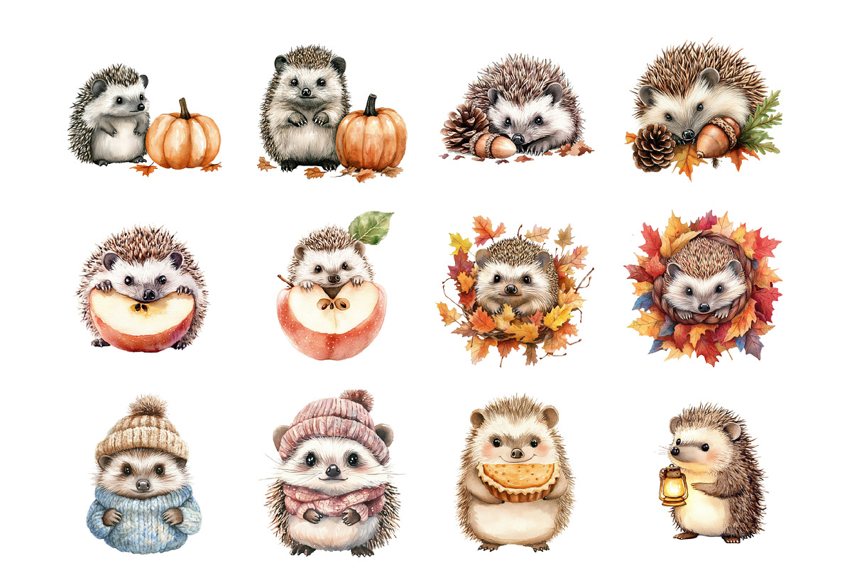 Autumn Hedgehog Fall Woodland Animal, an Illustration by Design Market (Photo 4 of 4)