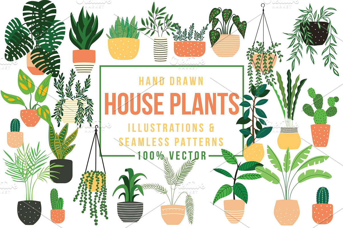 House plants Illustrations & Pattern, a Pattern Graphic by Blue Lela Design (Photo 1 of 9)