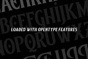 Baisteach | Vintage Serif, a Serif Font by Twicolabs Fontdation (Thumbnail 8 of 9)