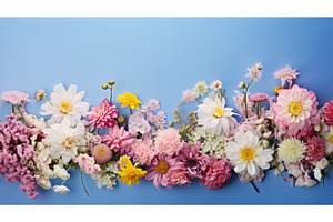 vibrant blue background with flowers, an Animal Photo by pikepicture