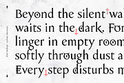 Eitel, a Serif Font by Rosario Nocera (Thumbnail 5 of 11)