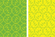 Nature Patterns, a Pattern Graphic by EightHourDay (Thumbnail 5 of 5)