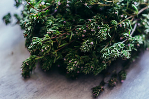 Thyme featuring thyme, evergreen herb, and herb