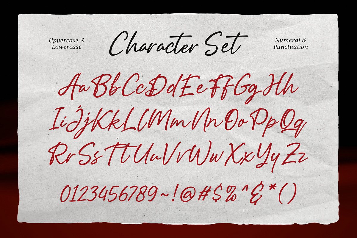 Analog Flow - Casual Brush Script, a Script Font by Inviline.co (Photo 3 of 10)
