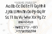 Beauty Alphabet, a Serif Font by FreshTypeINK (Thumbnail 6 of 7)