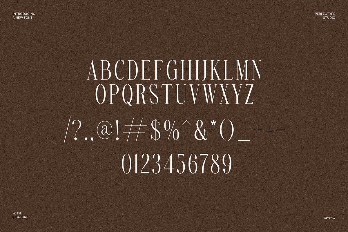 Gate - Modern Serif Font, a Serif Font by Luna Shop (Photo 5 of 6)