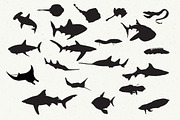 Hand Drawn Fish Pack, an Object Graphic by Sunny Design (Thumbnail 2 of 3)