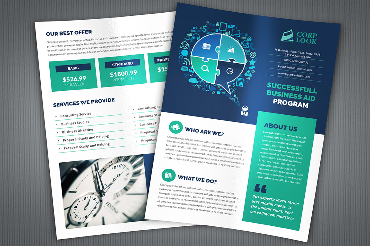 Professional Flyer 01, a Flyer Template by Layout Design