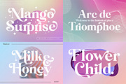 The Premium Creation Font Bundle, a Serif Font by Megatype (Thumbnail 2 of 56)