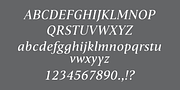 Haggard Nova, a Serif Font by TipografiaRamis (Thumbnail 4 of 9)