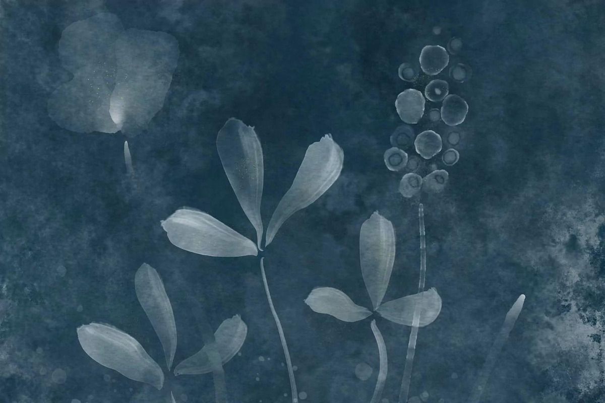 Watercolor Procreate Brushes, a Brush Add-On by Angela Roze (Photo 8 of 9)