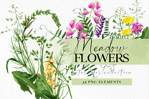 Wild Floral Clipart Meadow Flowers